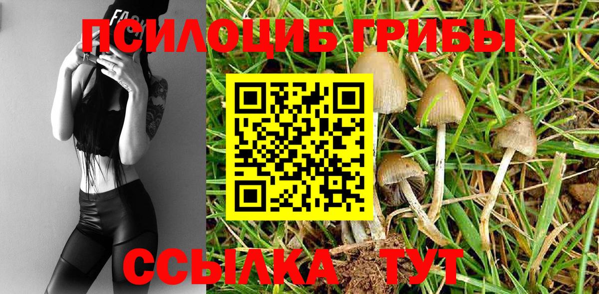Ярославль  Галлюциногенные грибы Magic Shrooms  Вход с VPN 